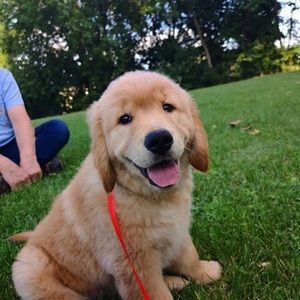 Meet your Posher, Tyrone